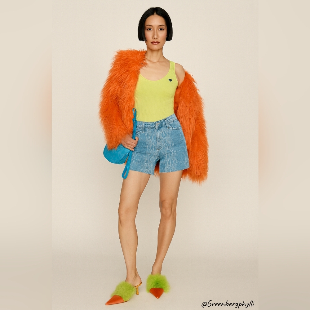 Judy Blue Blue Jean Shorts